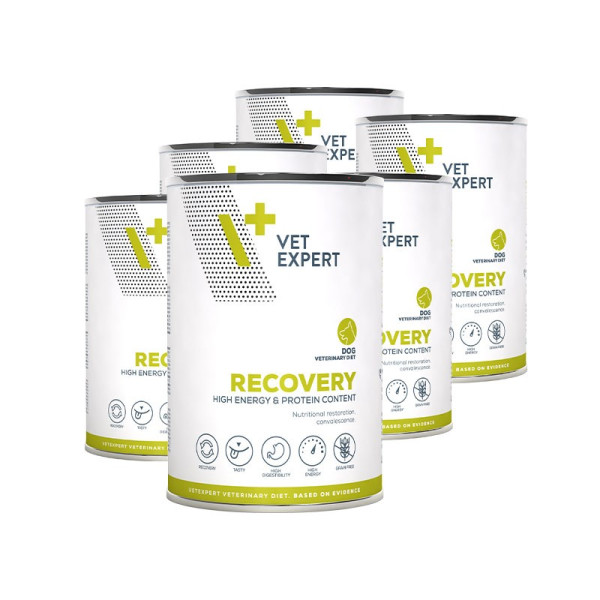 VET EXPERT RECOVERY DOG mokra karma dla psów 6x400g