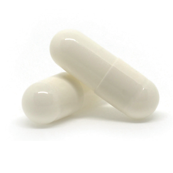 VET EXPERT BIOPROTECT ULTRA – zaawansowany probiotyk wspierający przewód pokarmowy psów i kotów z dysbiozą jelitową