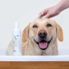 Hypoallergenic Shampoo