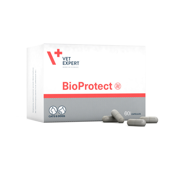 VET EXPERT BIOPROTECT - probiotyk dla psów i kotów