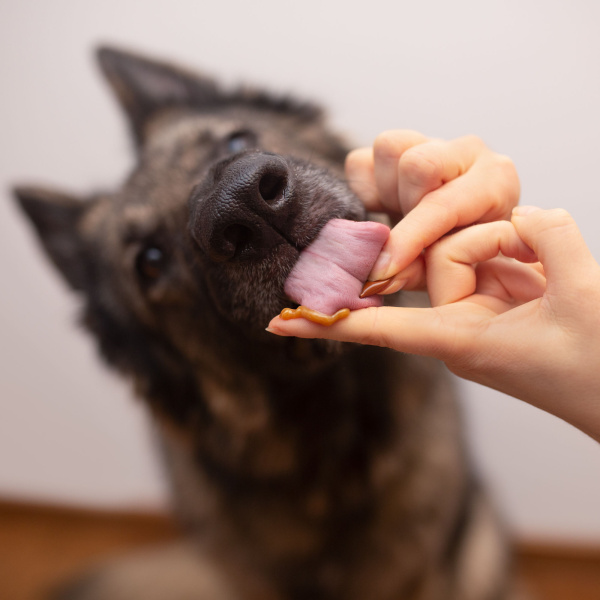 VET EXPERT VETOSKIN - preparat na skórę i sierść dla psów i kotów