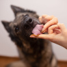 VET EXPERT VETOSKIN - preparat na skórę i sierść dla psów i kotów