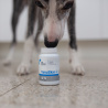 VET EXPERT VETOSKIN - preparat na skórę i sierść dla psów i kotów