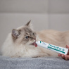 VET EXPERT TRICHOCAT - pasta odkłaczająca dla kotów