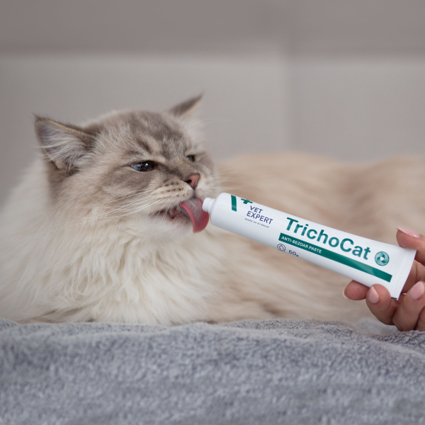 VET EXPERT TRICHOCAT - pasta odkłaczająca dla kotów