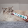 VET EXPERT TRICHOCAT - pasta odkłaczająca dla kotów