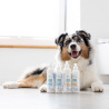 VET EXPERT Clinic Care Hypo & Omega Shampoo - szampon dermokosmetyczny dla psów i kotów 250 ml