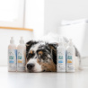 VET EXPERT Clinic Care Hypo & Omega Shampoo - szampon dermokosmetyczny dla psów i kotów 250 ml
