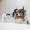 VET EXPERT Clinic Care Hypo & Omega Shampoo - szampon dermokosmetyczny dla psów i kotów 250 ml