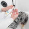 VET EXPERT Clinic Care Hypo & Omega Shampoo - szampon dermokosmetyczny dla psów i kotów 250 ml