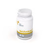 VET EXPERT VETAMINEX - preparat witaminowo-mineralny dla psów i kotów VET EXPERT VETAMINEX - preparat witaminowo-mineralny dla psów i kotów