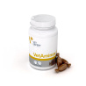 VET EXPERT VETAMINEX - preparat witaminowo-mineralny dla psów i kotów VET EXPERT VETAMINEX - preparat witaminowo-mineralny dla psów i kotów