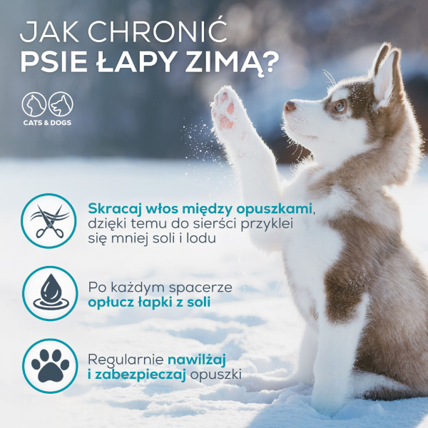 VET EXPERT PAW PROTECTION - maść ochronna do łap dla psów i kotów 75 ml