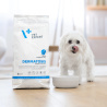 VET EXPERT DERMATOSIS DOG RABBIT & POTATO - sucha karma weterynaryjna dla psów