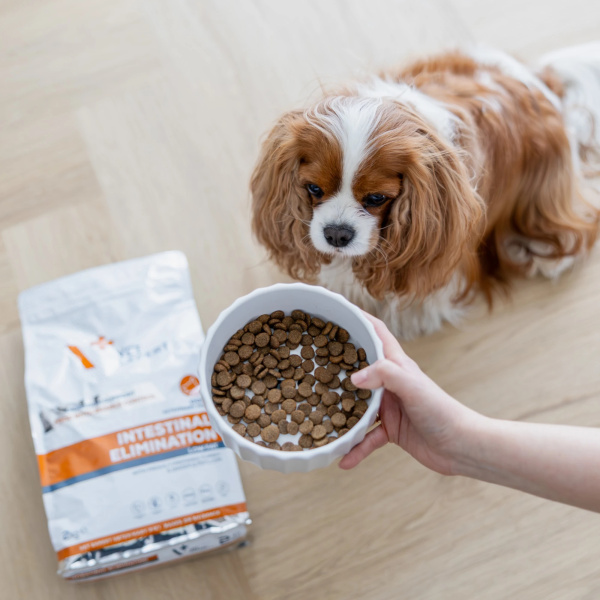 VET EXPERT INTESTINAL ELIMINATION DOG - sucha karma weterynaryjna dla psów