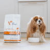 VET EXPERT INTESTINAL ELIMINATION DOG - sucha karma weterynaryjna dla psów