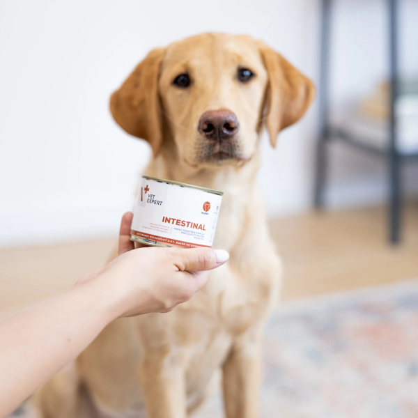 VET EXPERT INTESTINAL PUPPY 6x200g – lekkostrawna mokra karma weterynaryjna dla szczeniąt z zaburzeniami trawiennymi