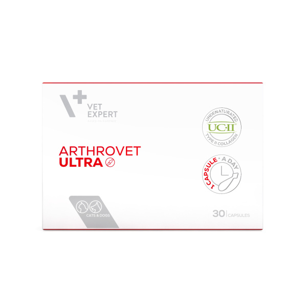 VET EXPERT ARTHROVET ULTRA – zaawansowany preparat wyznaczający nowy standard wsparcia stawów u psów i kotów