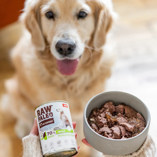 RAW PALEO ADULT DOG DEER 12x400g - mokra karma dla psów dorosłych monoproteina z mięsem jelenia