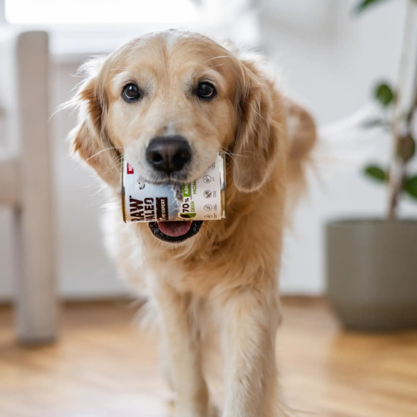 RAW PALEO ADULT DOG DEER 400g - mokra karma dla psów dorosłych monoproteina z mięsem jelenia