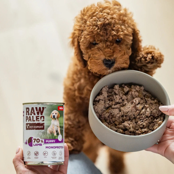 RAW PALEO PUPPY LAMB 12x400g - mokra karma dla szczeniąt monoproteina z jagnięciną