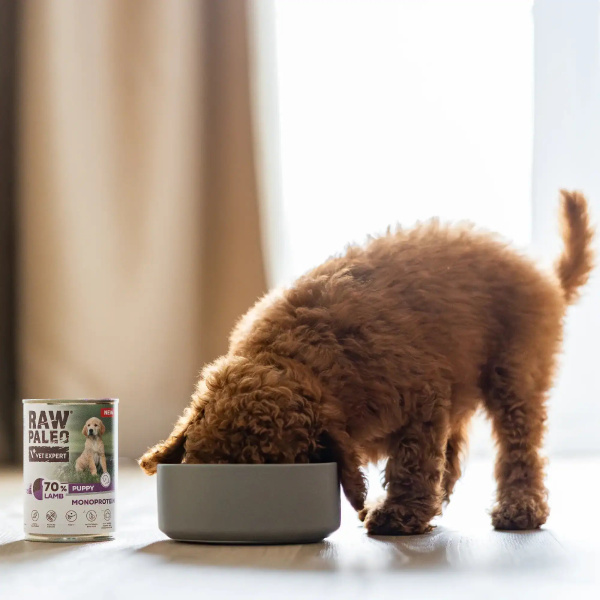 RAW PALEO PUPPY LAMB 400g - mokra karma dla szczeniąt monoproteina z jagnięciną