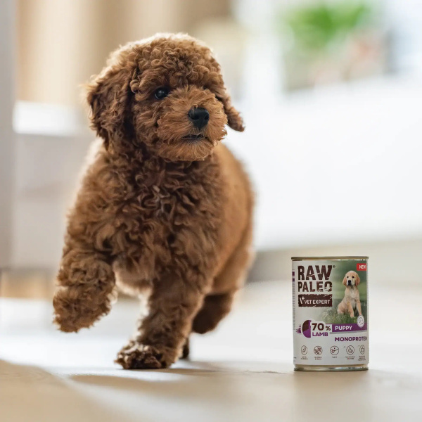 RAW PALEO PUPPY LAMB 400g - mokra karma dla szczeniąt monoproteina z jagnięciną