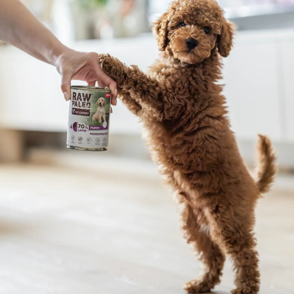 RAW PALEO PUPPY LAMB 400g - mokra karma dla szczeniąt monoproteina z jagnięciną