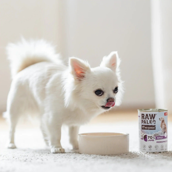 RAW PALEO ADULT DOG LAMB 6x800g - mokra karma dla psów dorosłych monoproteina z jagnięciną