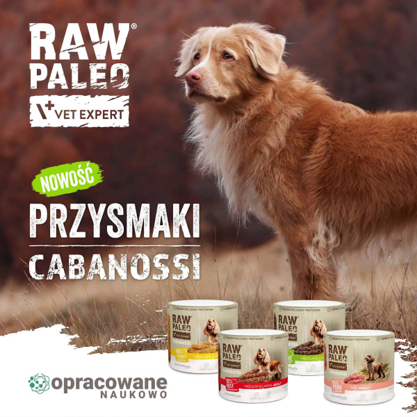 RAW PALEO Cabanossi Game Mini 90g - pełnoporcjowy naturalny przysmak w formie kiełbaski dla psa