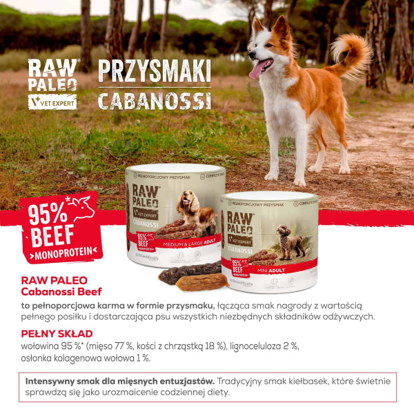 RAW PALEO Cabanossi Beef Mini 100g - pełnoporcjowy naturalny przysmak w formie kiełbaski dla psa