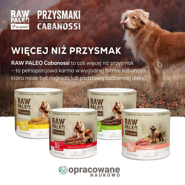 RAW PALEO Cabanossi Beef Medium Large 90g - pełnoporcjowy naturalny przysmak w formie kiełbaski dla psa