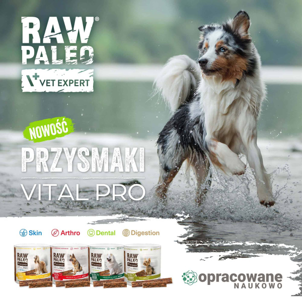 RAW PALEO Vital Pro Digestion Rabbit Medium Large 100g - hipoalergiczny monoproteinowy przysmak funkcjonalny - baton dla psa
