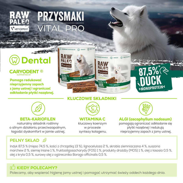 RAW PALEO Vital Pro Dental Duck Medium Large 100g - hipoalergiczny monoproteinowy przysmak funkcjonalny - baton dla psa