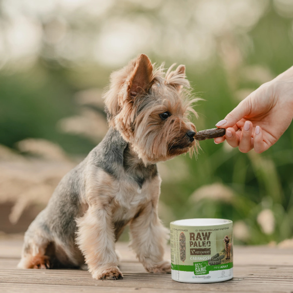 RAW PALEO Cabanossi Game Mini 100g - pełnoporcjowy naturalny przysmak w formie kiełbaski dla psa
