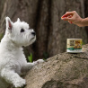 RAW PALEO Olympic Duck Mini 90g - hipoalergiczny monoproteinowy przysmak treningowy dla psa