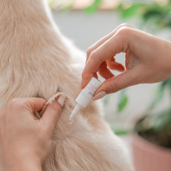 VET EXPERT ATOSIS CARE SPOT-ON - specjalistyczny preparat do stosowania miejscowego dla psów i kotów ze skórą skłonną do atopii