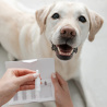 VET EXPERT ATOSIS CARE SPOT-ON - specjalistyczny preparat do stosowania miejscowego dla psów i kotów ze skórą skłonną do atopii