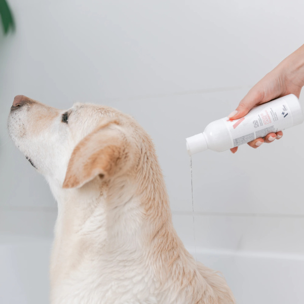 VET EXPERT ATOSIS CARE SHAMPOO - szampon dla psów i kotów ze skórą skłonną do atopii 250 ml