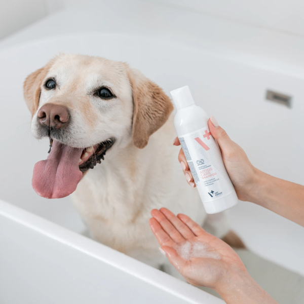 VET EXPERT ATOSIS CARE SHAMPOO - szampon dla psów i kotów ze skórą skłonną do atopii 250 ml