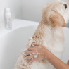 VET EXPERT ATOSIS CARE SHAMPOO - szampon dla psów i kotów ze skórą skłonną do atopii 250 ml