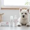 VET EXPERT ATOSIS CARE SHAMPOO - szampon dla psów i kotów ze skórą skłonną do atopii 250 ml