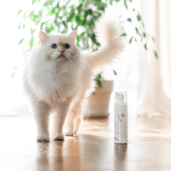 VET EXPERT ATOSIS CARE MOUSSE - szampon w piance do kąpieli na sucho dla psów i kotów ze skórą skłonną do atopii 150 ml