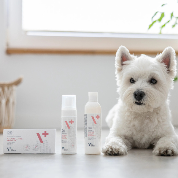 VET EXPERT ATOSIS CARE MOUSSE - szampon w piance do kąpieli na sucho dla psów i kotów ze skórą skłonną do atopii 150 ml