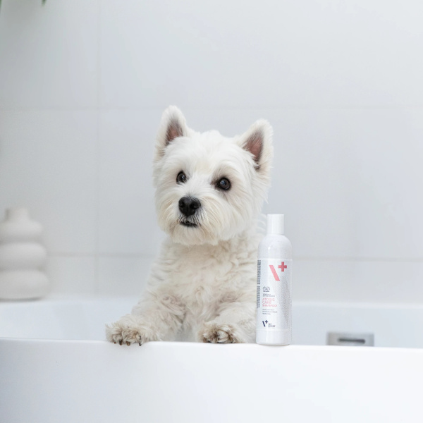 VET EXPERT ATOSIS CARE SHAMPOO - szampon dla psów i kotów ze skórą skłonną do atopii 250 ml