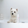 VET EXPERT ATOSIS CARE SHAMPOO - szampon dla psów i kotów ze skórą skłonną do atopii 250 ml