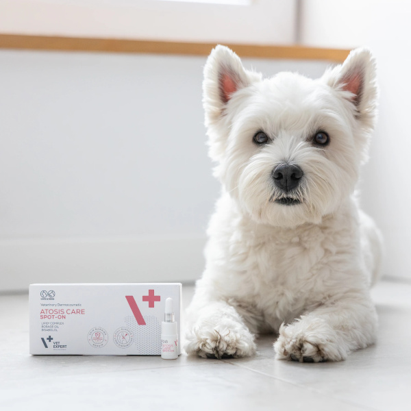 VET EXPERT ATOSIS CARE SPOT-ON - specjalistyczny preparat do stosowania miejscowego dla psów i kotów ze skórą skłonną do atopii