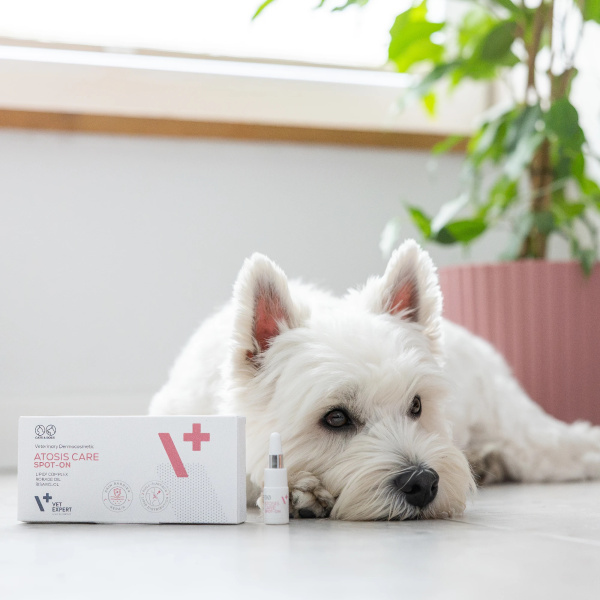 VET EXPERT ATOSIS CARE SPOT-ON - specjalistyczny preparat do stosowania miejscowego dla psów i kotów ze skórą skłonną do atopii