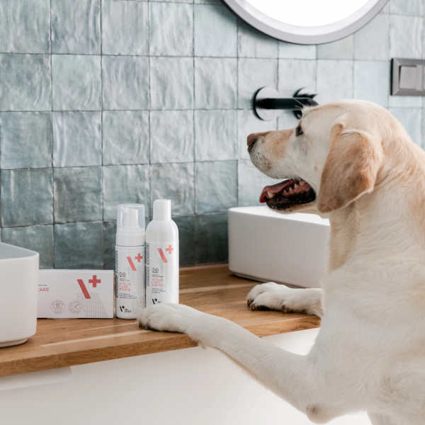 VET EXPERT ATOSIS CARE SPOT-ON - specjalistyczny preparat do stosowania miejscowego dla psów i kotów ze skórą skłonną do atopii