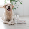 VET EXPERT ATOSIS CARE SPOT-ON - specjalistyczny preparat do stosowania miejscowego dla psów i kotów ze skórą skłonną do atopii